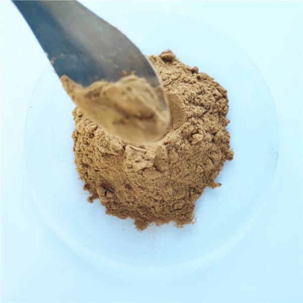 Cheap pure natural anti cancer neem extract for capsules for sale