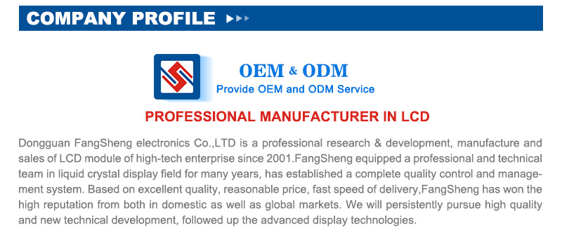 Customized Size Lcd Display Screen , Transmissive Seven Segment Lcd Display