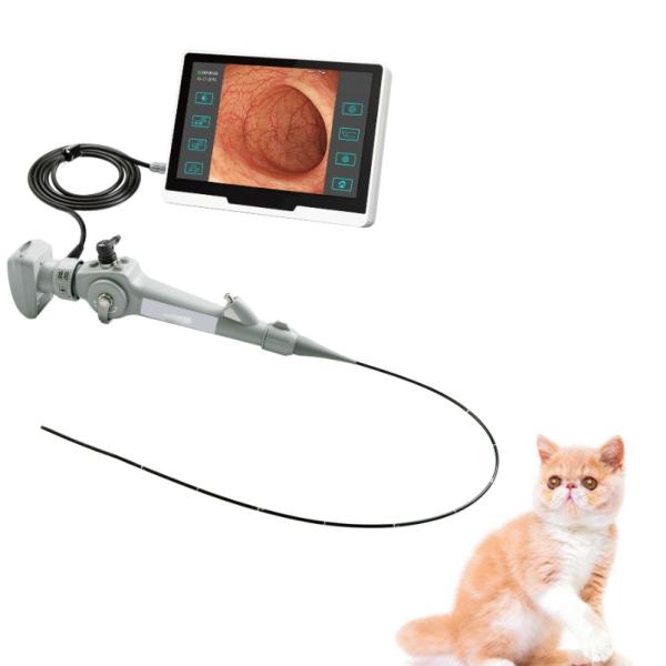 250mm Veterinary Medical Equipment Veterinary Gastroscope For Cat Dog Horse