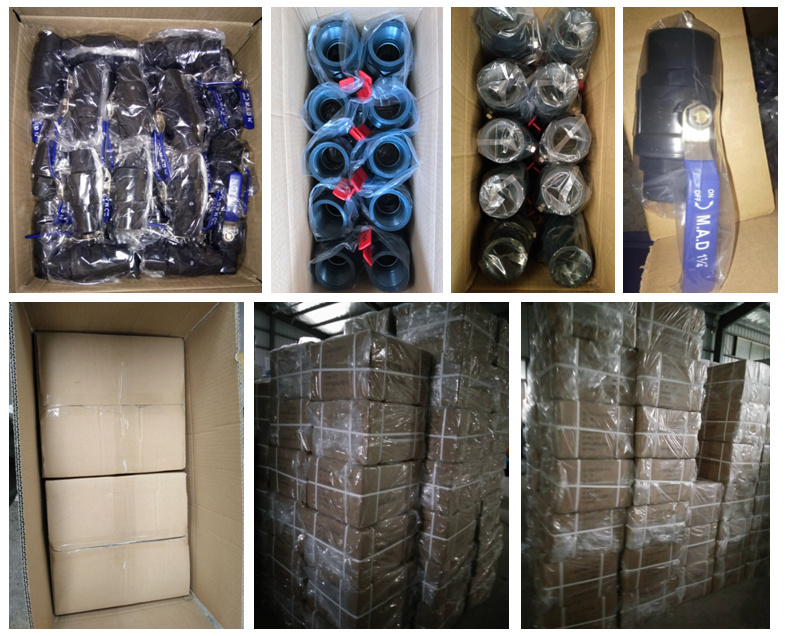 Octangle Ball Valve with Seat/Base for Viet Nam Marketing