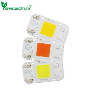 Best 15W Led Module 6500k wholesale