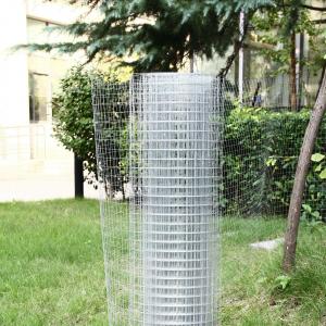 Leveled Mesh Surface Welded 1X1 Chicken Mesh Fence