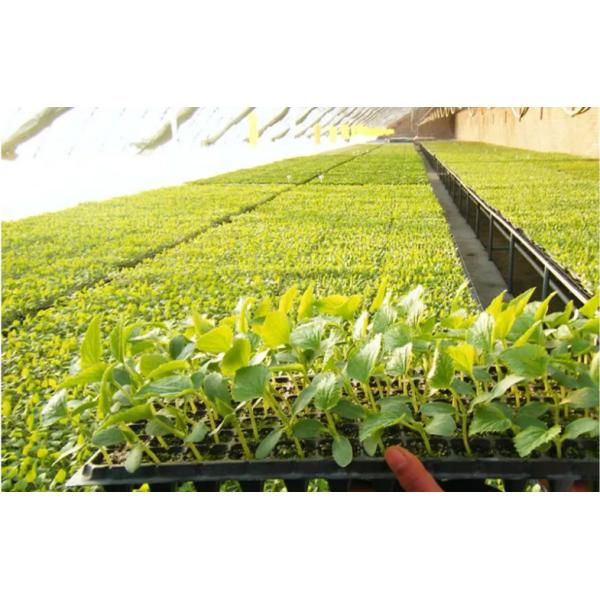 Plug Seed Grow Plastic Germination Trays Garden Vegetable Hydroponic
