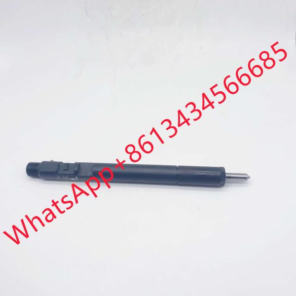 Cheap EJBR04701D Delphi Common Rail Fuel Injector A6640170021 R04701D for sale
