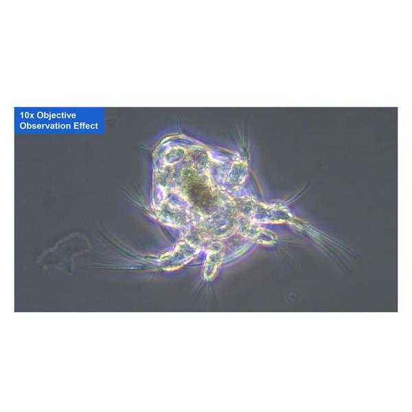 OPTO-EDU Trinocular Inverted Biological Microscope WF10X PlA14.2605 Kohler Illumination