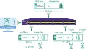 Best Network Monitoring Packet Broker Slicing Broker Removing Payload Data From Sensitive Data Packets wholesale