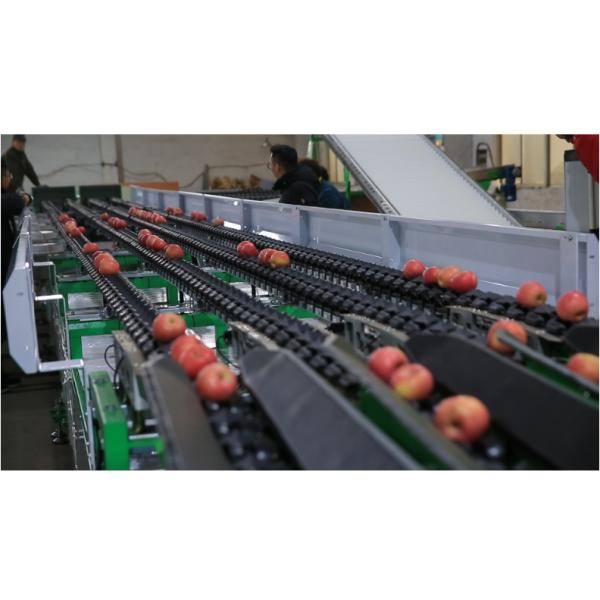 Automatic fruit and vegetable electronic fruit picker ,classifier,weight sorter