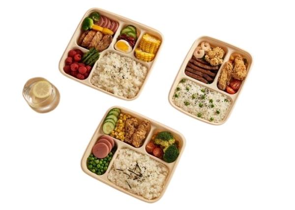 Cheap Plastic Disposable Food Container Manufacturing Machine Multi Screw 60KW for sale