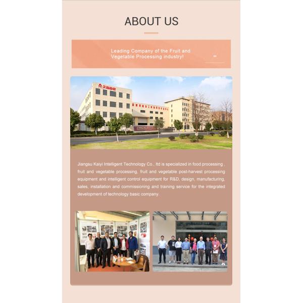 Garlic Peeling Garlic Processing Line Garlic Peeling Machine