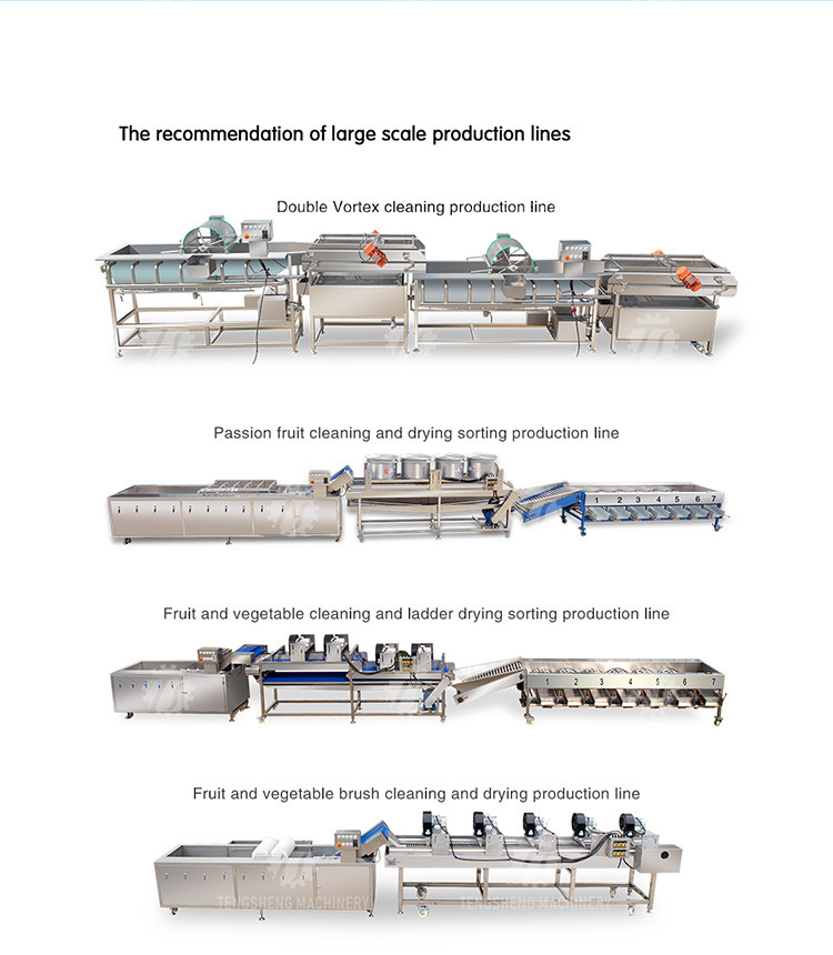 580KG Add large melon and fruit cleaning peeling machine large yield potato peeling machine taro peeling machine
