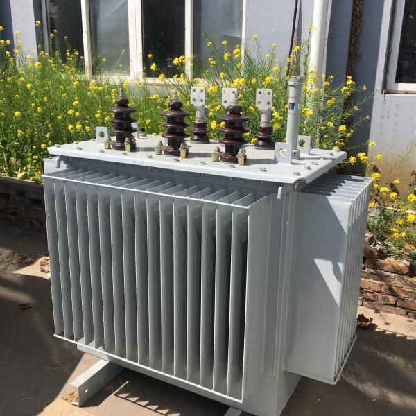 S9 S11 3 Phase Electrical Power Transformer 30 - 3000kva Rated Capacity