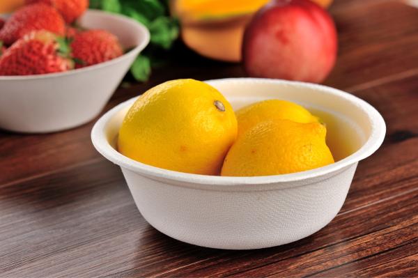 Cheap Round Compostable Bagasse Bowls Biodegradable Disposable Sugarcane for sale