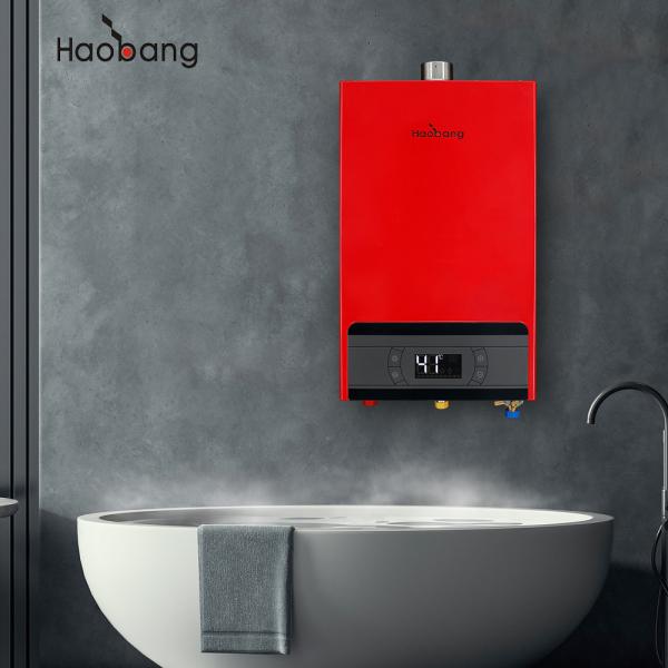 Cheap 1% Free Spare Part Offer Forced Exhaust Gas Water Heater With Optional Protection And Wall Mounted Installation for sale