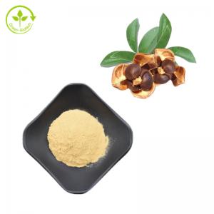 Best 100% Natural Camellia Seed Extract 95% Tea Saponins Powder wholesale