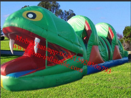 Frog Rent Large Inflatable Obstacle Course