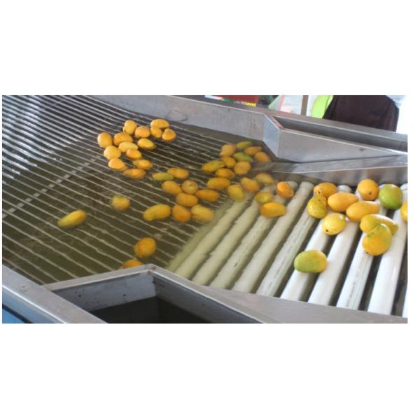 Automatic fruit and vegetable electronic fruit picker ,classifier,weight sorter