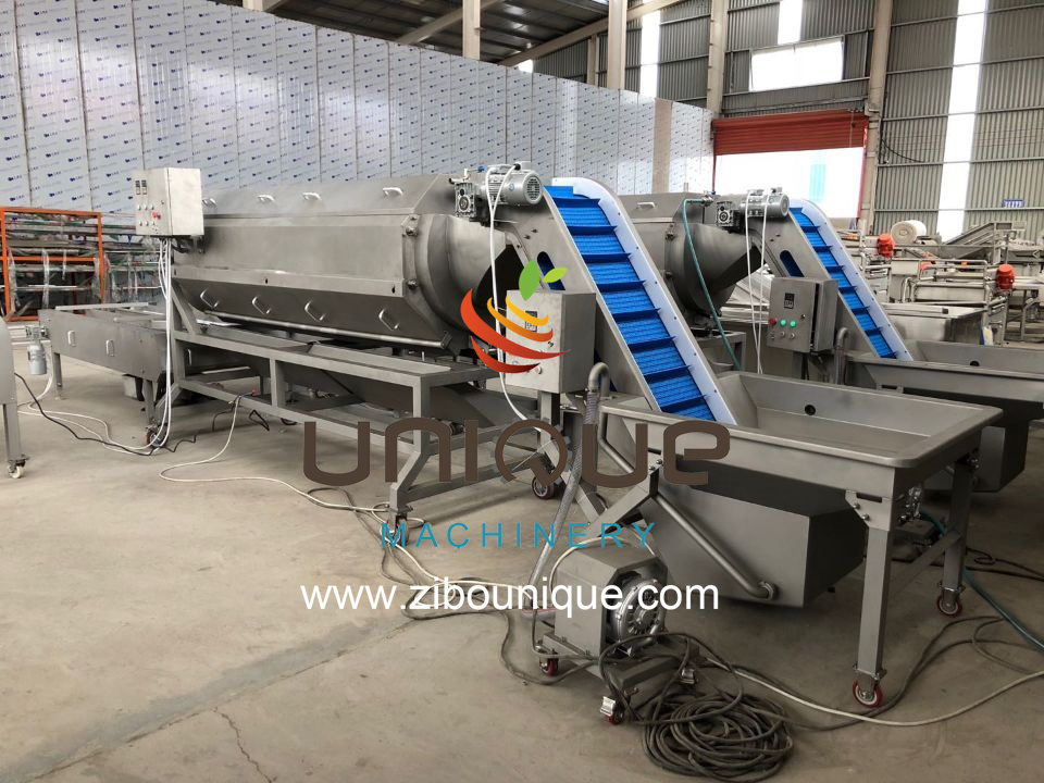 Washing and Peeling Function Stainless Steel Peeler Machine for Frozen Root Vegetables