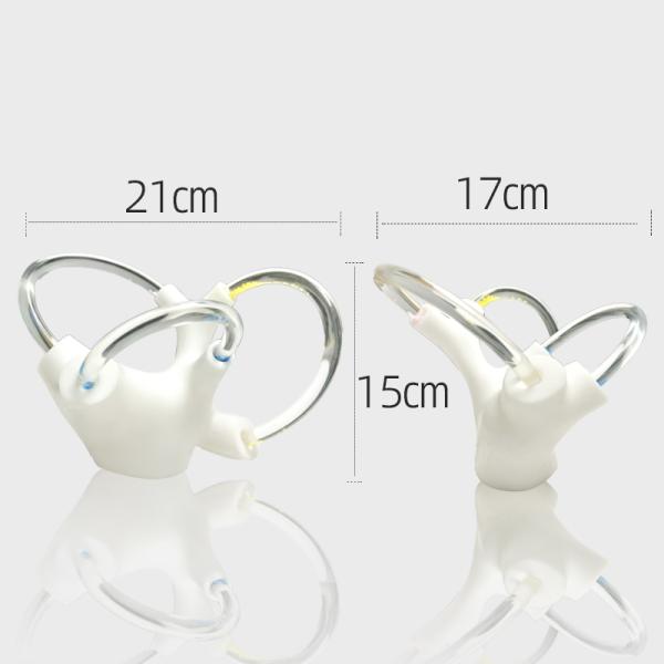 Vertigo Cochlea Inner Ear Cranial Nerve Rehabilitation Anatomical Function Didactic Demonstration Semicircular Canal