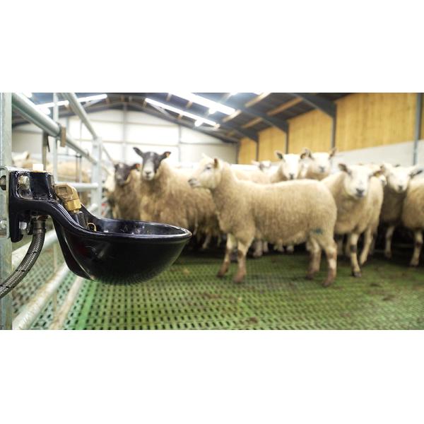 Sliding Door and Roller Door Design Q345 Metal Frame Goat/Sheep House for Cow/Cattle Farm