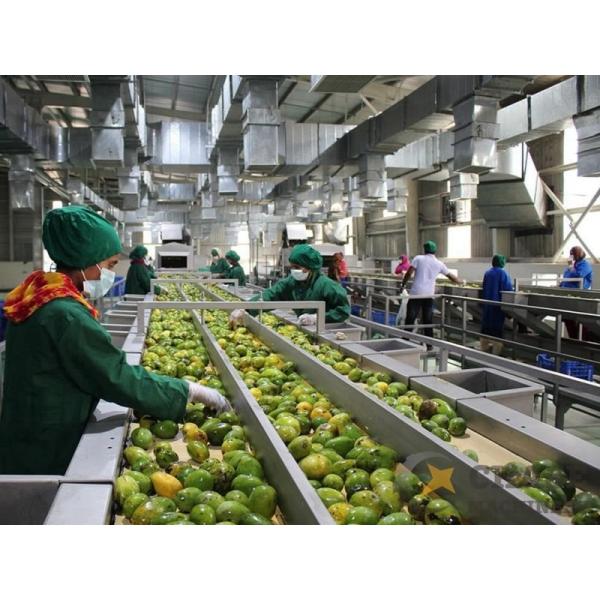 One-Stop Service Customized 1000-30000l/H Mango Processing Line Mango Juice/Sauce/Jam Machine With PLC Mango Pulp Equipment