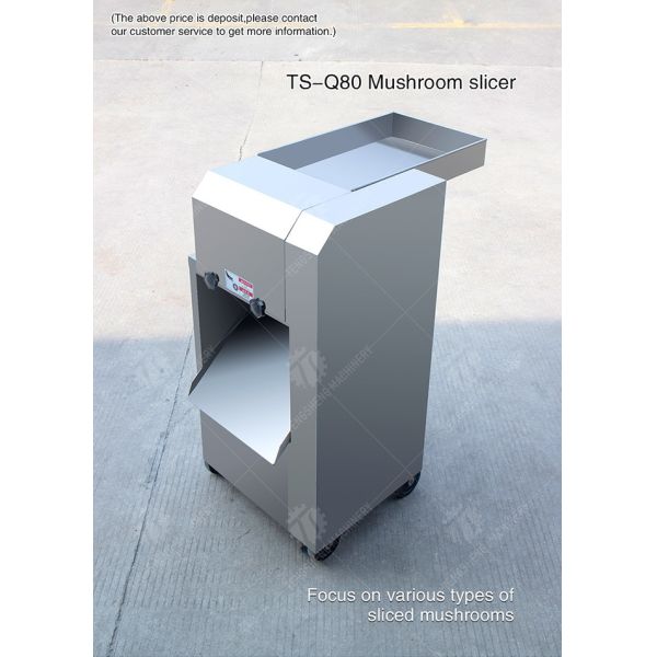 Professional cutting mushroom slice mushroom cutting processing equipment mushroom slicer