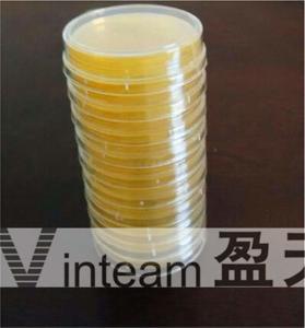 Yellow Petri Dish Tray Size 90mm Low Temperature Store Three Layer Packaging