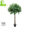 Buy cheap Fire Retardant Aesthetic Faux Ficus Plant , 8ft Artificial Palm Tree In Green from wholesalers