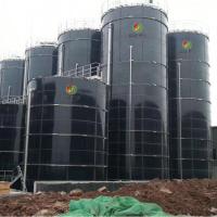 China Technology Of Biogas Production Biogas Digestion Agricultural Biogas Plant for sale