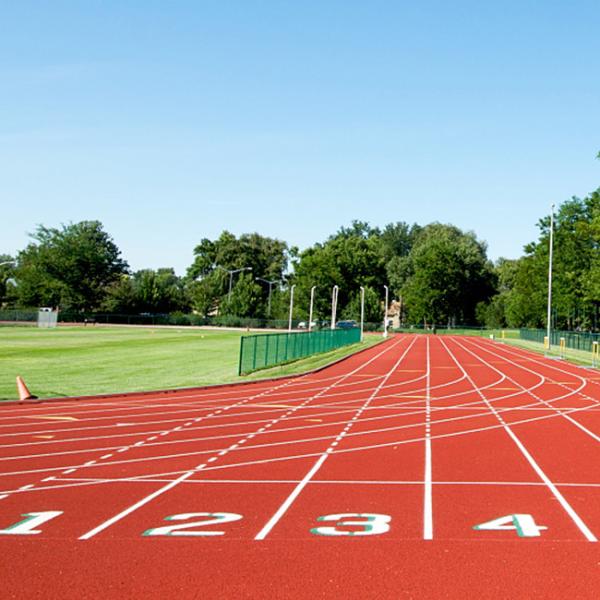 Cheap Sandwich System Running Track 13mm Synthesis Rubber Track Material for sale