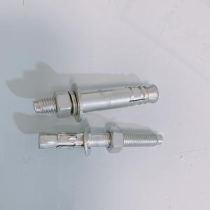 304 316 Stainless Steel Expansion Anchor Bolt Wedge Anchor M10 M12 Concrete Bolts