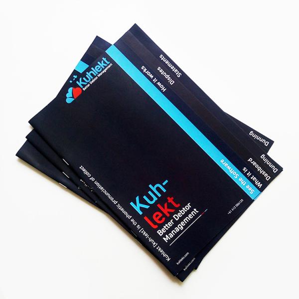 Cheap Leaflet Booklets Brochure Printing Services Saddle Stitching 4C Offset for sale