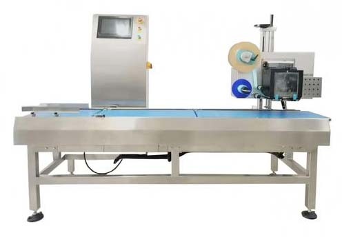 220V Bubble Film Packing Machine / Wrapping Machine OEM 1 Year Warranty