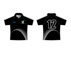 Best BSCI 100% Polyester Customized Cricket Teamwear Jersey Mens use wholesale