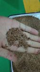CCD Color Sorter Machine For Flax Seed Color Sorting Machine Used For Linseeds