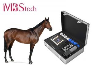 China Portable Veterinary Shockwave Treat Orthopedic Problems In Horses Shockwave Therapy Machine on sale