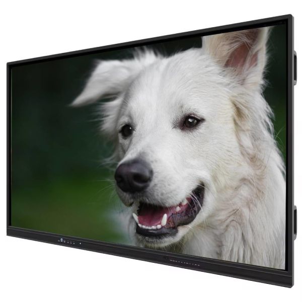 Conference Interactive Flat Panel Display 65 Inch Screen Size 500GB Hard Drive Capacity for Interactive Presentations