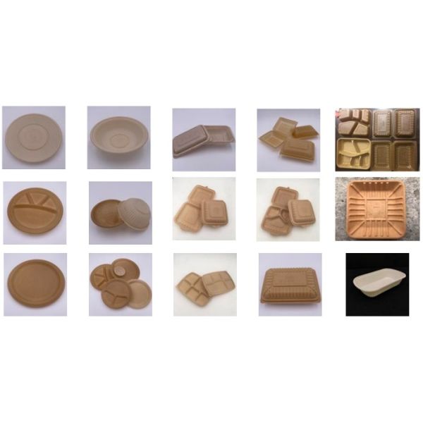 Thin Wall Compostable Disposable Food Container Making Machine Manufacturers