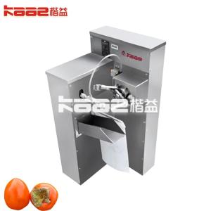 Best Turnkey dried persimmon processing line dried persimmon turnkey project wholesale