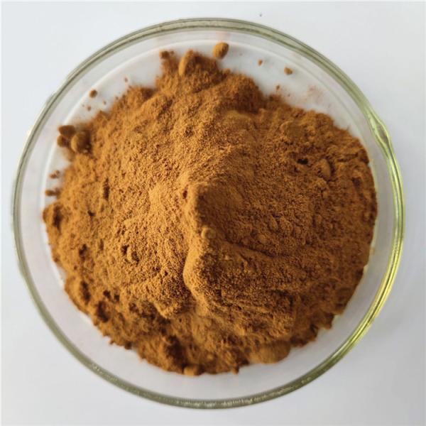 Cheap Polypodium Barometz L.Extract/Polypodium Extract With Best Price for sale