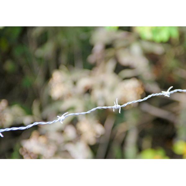 Use Of Prison Walls Length 200m Single Strand Hot Dipped Galvanized Barbed Wire