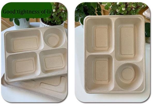 Cheap Four Grid Packaging Disposable Lunch Box ,  Biodegradable Takeaway Lunch Box for sale