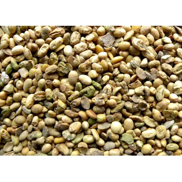 Intelligent Bean Color Sorter Mini Red Bean Soybean Optical Color Sorter