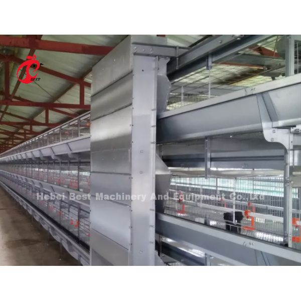 Automatic Layer Poultry Cage Chicken Farming Prefab House Complete Solutions Rose