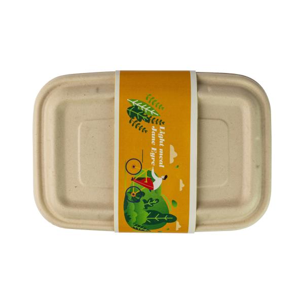 Cheap Rectangular Disposable Surgance Pulp Food Container Biodegradable Container for sale