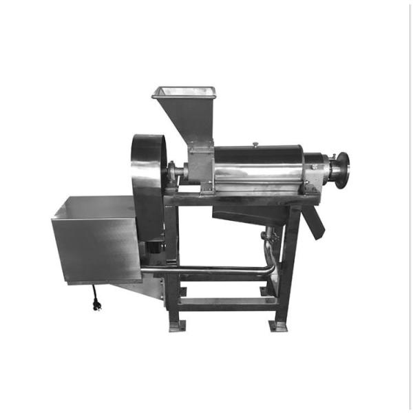 Cheap Automatic Apple Juicer Machine 100kg Juice Extractor Machine for sale