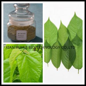 Best Mulberry Leaf powder,folium mori extract, 1-DNJ price, Mulberry leaf extract benefits wholesale