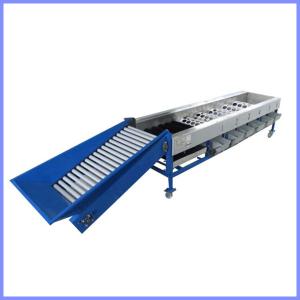 apple polishing and sorting machine