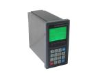Zero Calibration Weigh Feeder Controller Panel Mounted RS232 Communication