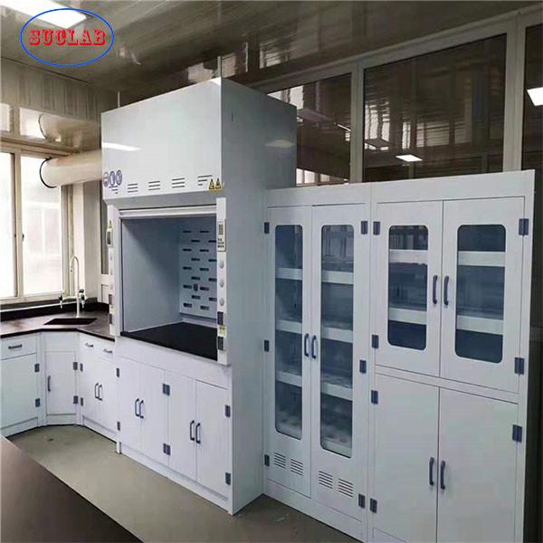 Cheap Safety Steel Strong Corrosion Resistance Chemistry Laboratory Fume Cupboard Australia for sale