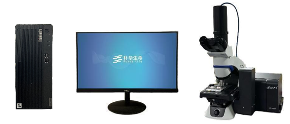 Sperm Quality Analyzer (HS-3000）